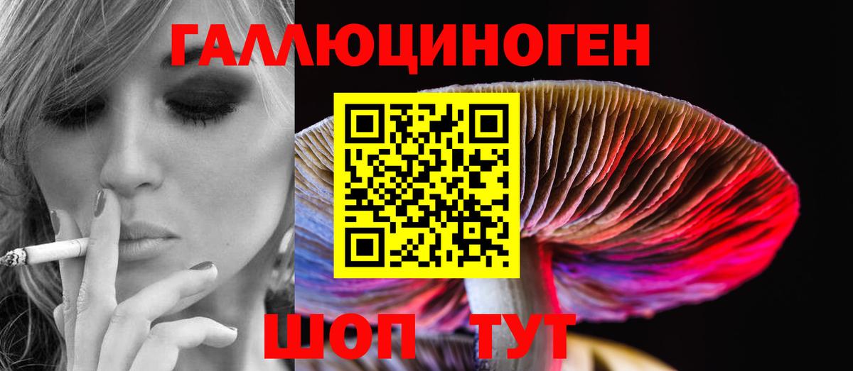 как найти закладки  Галлюциногенные грибы Magic Shrooms  Вход с VPN  Псилоцибиновые грибы GOLDEN TEACHER  Свободный 