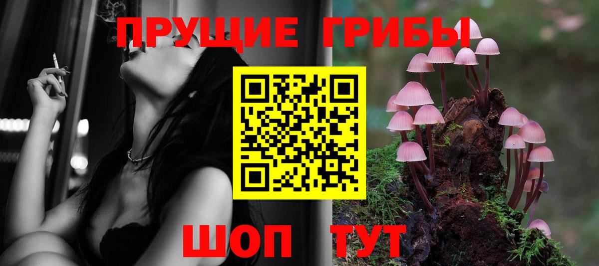 Псилоцибиновые грибы Cubensis Свободный